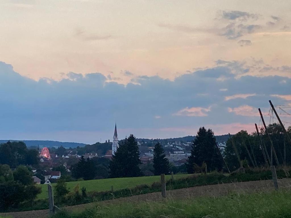 Oekohotel Aus Holz Alea Eco Pfaffenhofen an der Ilm Exterior foto
